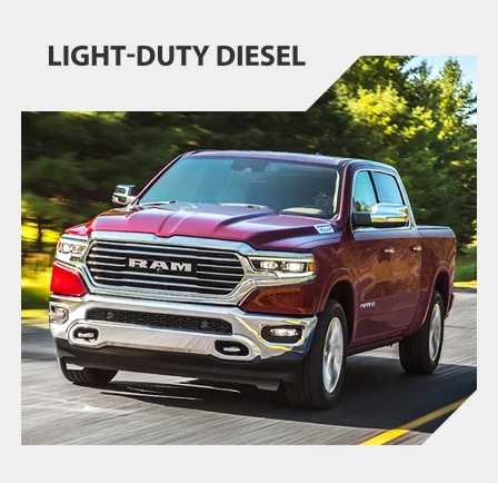 Light Duty